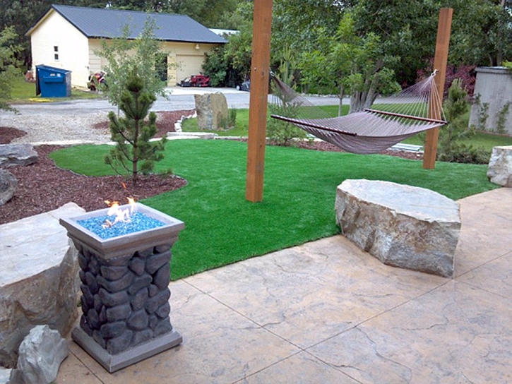 Artificial Grass Carpet Pine Mountain, Georgia Lawn And Landscape, Front Yard Landscape Ideas