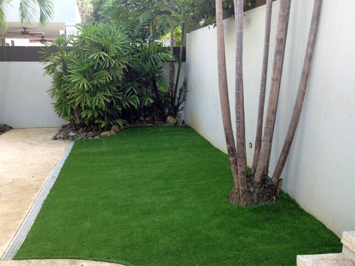 Artificial Grass Carpet Ray City, Georgia Garden Ideas, Backyard Designs