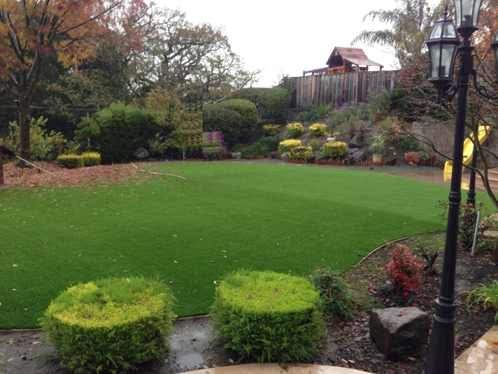 Artificial Grass Carpet Reed Creek, Georgia Design Ideas, Backyard Garden Ideas