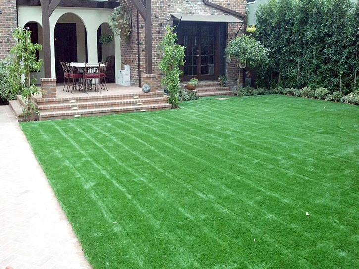 Artificial Grass Carpet Smithville, Georgia Home And Garden, Front Yard Landscape Ideas