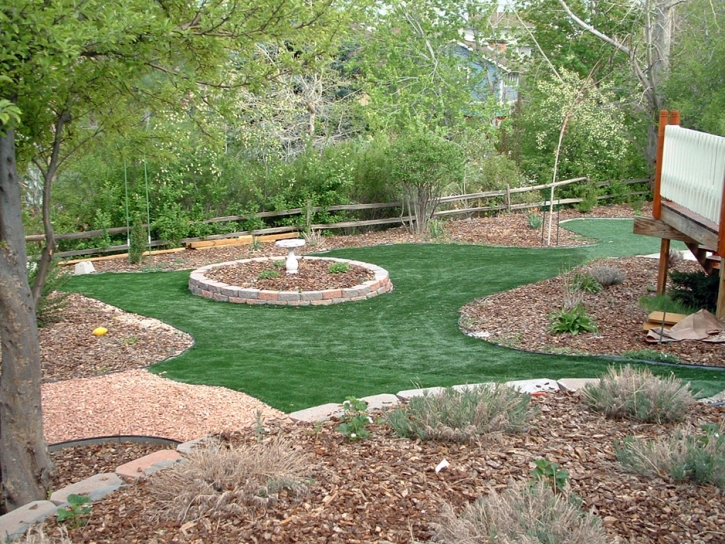 Artificial Grass East Newnan, Georgia Gardeners, Backyard Designs