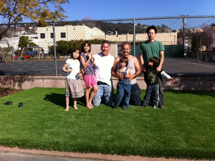 Artificial Grass Guyton, Georgia Roof Top, Commercial Landscape