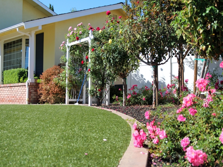 Artificial Grass Installation Hagan, Georgia Landscaping, Small Front Yard Landscaping