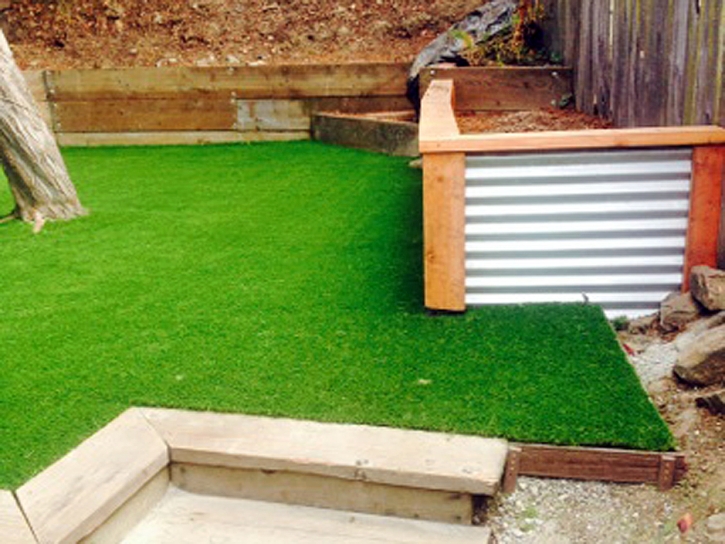 Artificial Grass Installation Lakeview, Georgia Landscape Ideas, Backyard Designs