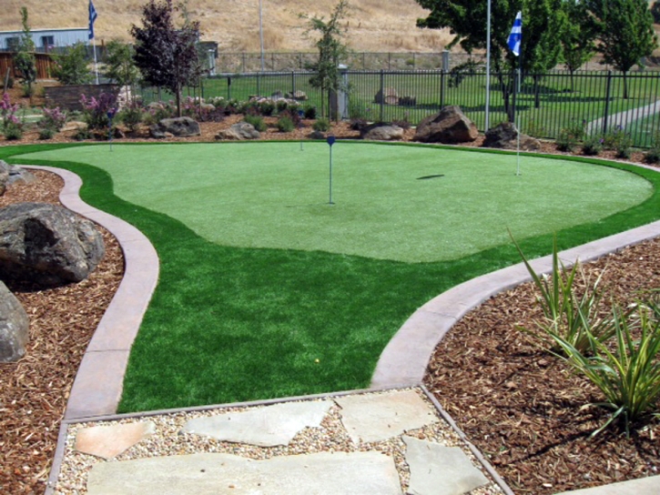 Artificial Grass Marshallville, Georgia Landscape Design, Backyard Garden Ideas