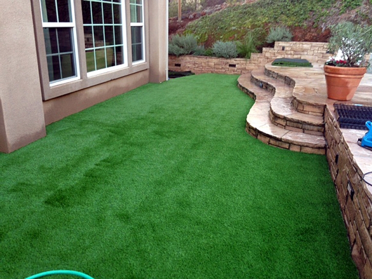 Artificial Grass North High Shoals, Georgia Landscaping, Backyard Landscape Ideas