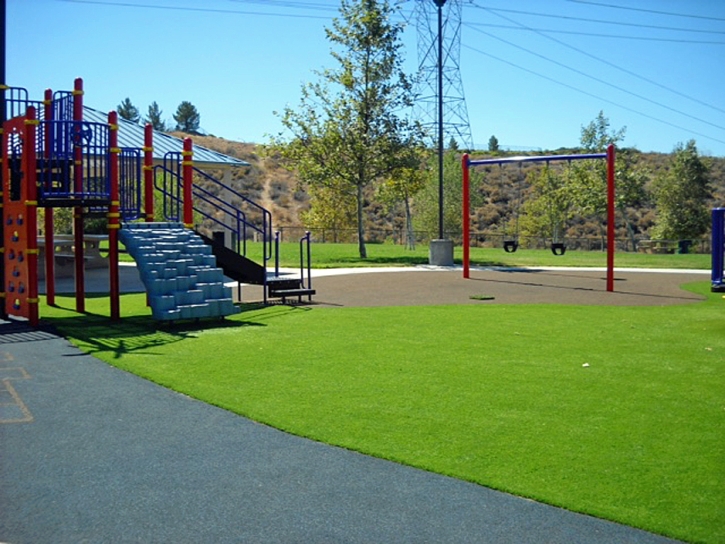 Artificial Grass Ray City, Georgia Landscape Design, Parks