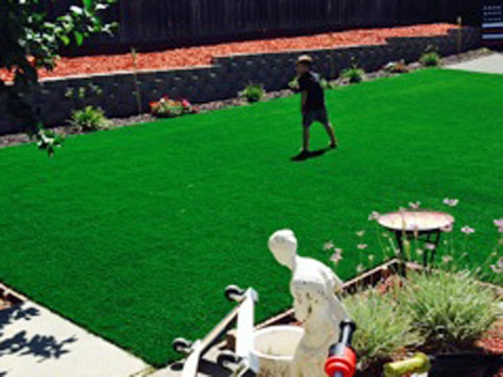 Artificial Grass Varnell, Georgia Lawns, Backyard Landscaping Ideas