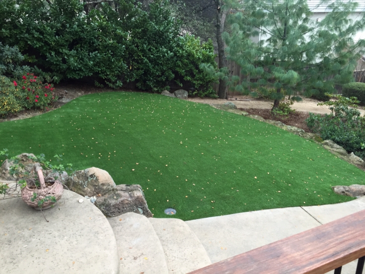 Artificial Lawn Colbert, Georgia City Landscape, Backyard Designs