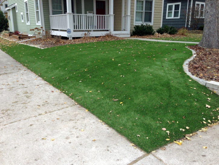 Artificial Lawn McCaysville, Georgia Rooftop, Front Yard Design