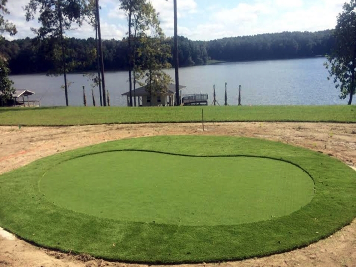 Artificial Lawn Skidaway Island, Georgia Gardeners