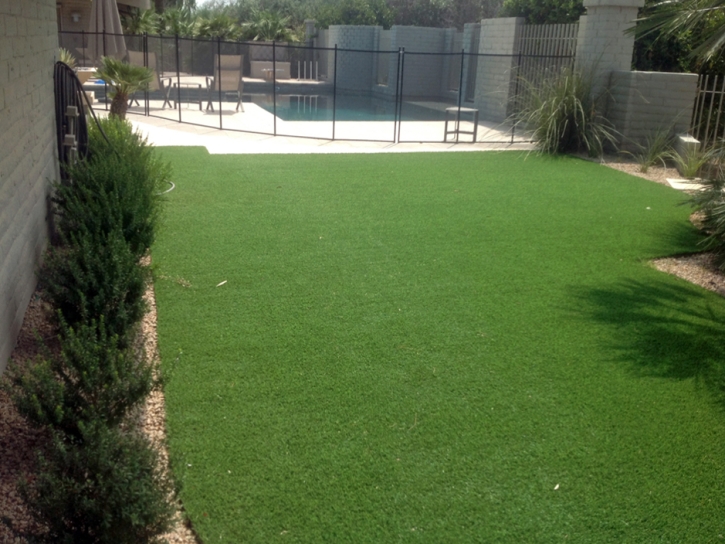 Artificial Lawn Wadley, Georgia City Landscape, Backyard Ideas