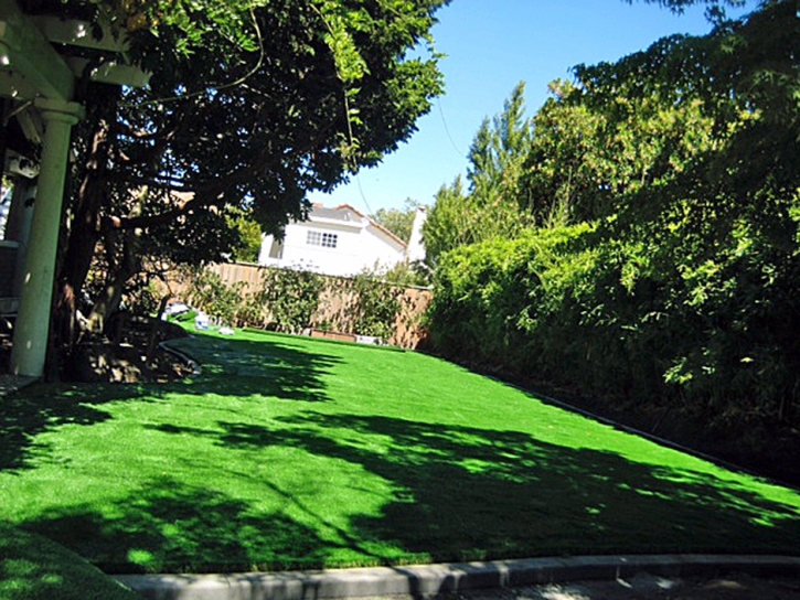 Artificial Turf Broxton, Georgia City Landscape, Backyard Ideas