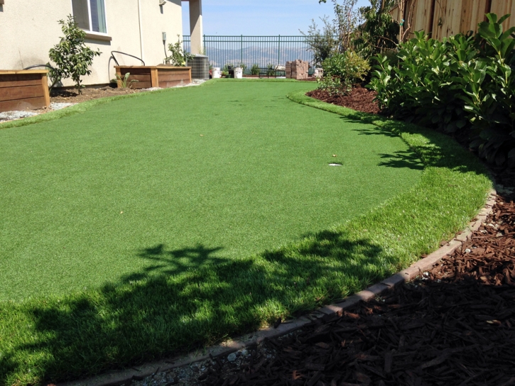 Artificial Turf Comer, Georgia Gardeners, Backyard Landscape Ideas