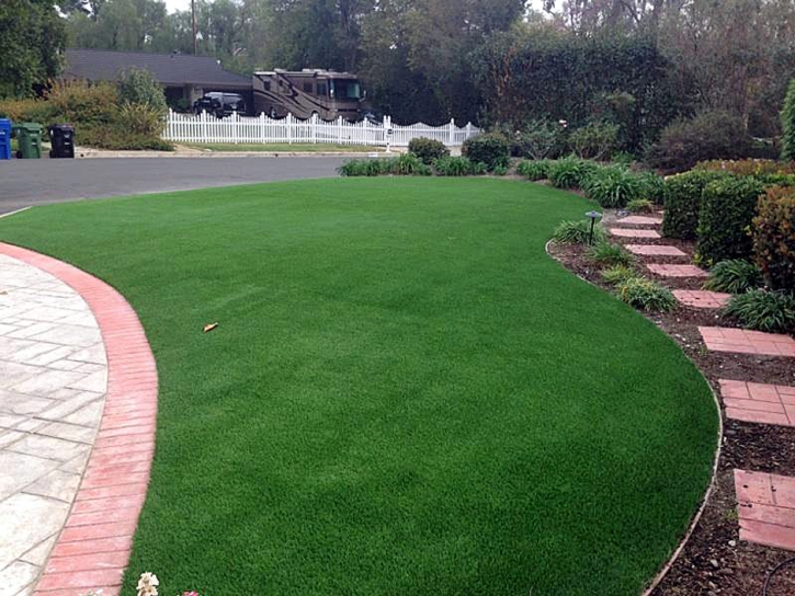 Artificial Turf Cost Brooklet, Georgia Backyard Playground, Front Yard Landscaping Ideas