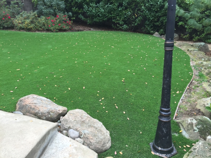 Artificial Turf Cost Cornelia, Georgia Home And Garden, Small Backyard Ideas