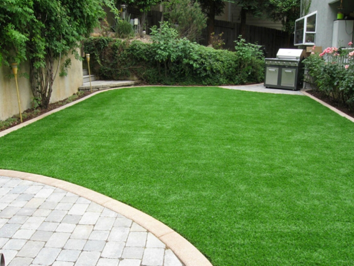 Artificial Turf Cost Glennville, Georgia Home And Garden