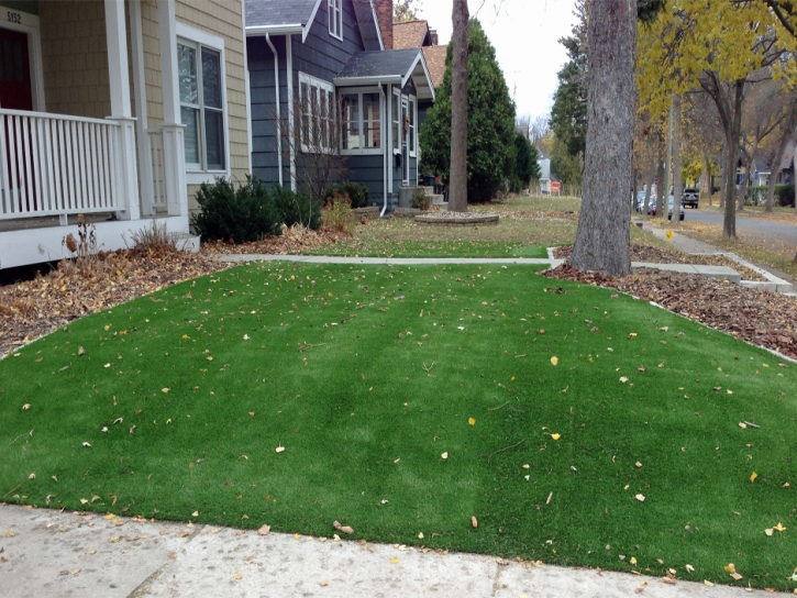 Artificial Turf Cost Martinez, Georgia Landscaping, Front Yard Landscaping