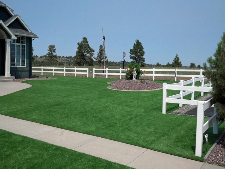 Artificial Turf Cost Mount Zion, Georgia Landscape Rock, Backyard