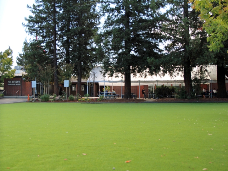 Artificial Turf Georgetown, Georgia Landscape Photos, Recreational Areas