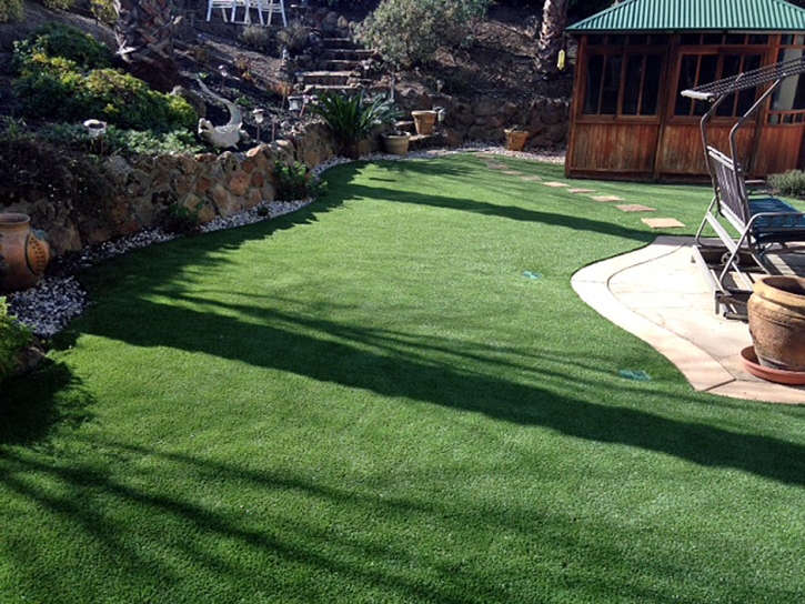 Artificial Turf Grantville, Georgia Backyard Playground, Backyard Ideas