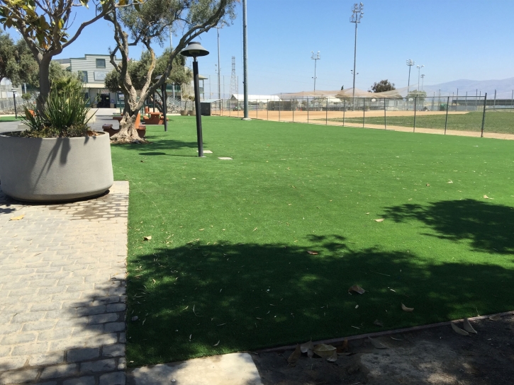 Artificial Turf Installation Dearing, Georgia Roof Top, Commercial Landscape