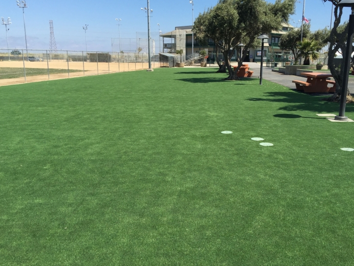 Artificial Turf Installation Dexter, Georgia Landscape Ideas, Recreational Areas