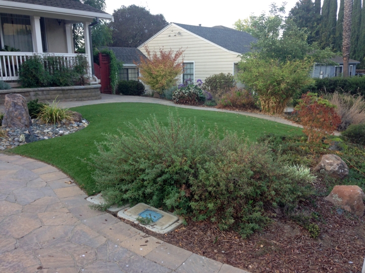 Artificial Turf Installation Richmond Hill, Georgia Backyard Deck Ideas, Front Yard Landscaping