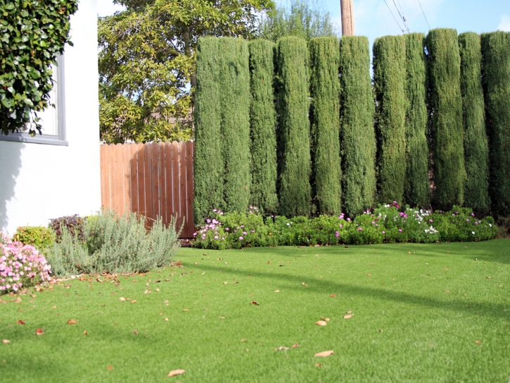 Artificial Turf Installation Stockbridge, Georgia Backyard Deck Ideas, Front Yard Landscape Ideas