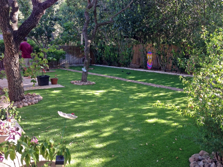 Artificial Turf Roberta, Georgia Gardeners, Backyard