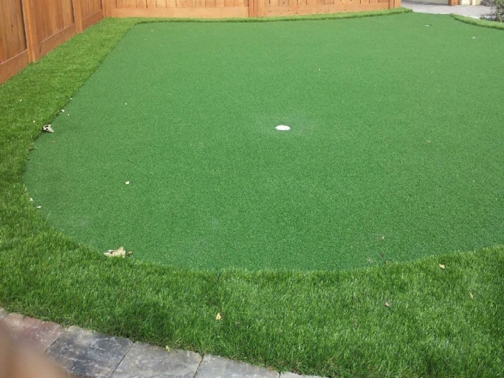 Artificial Turf Saint Simons, Georgia Backyard Putting Green