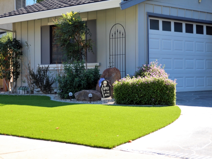 Artificial Turf Talmo, Georgia Landscape Photos, Front Yard Landscaping Ideas