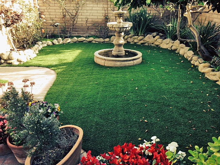 Artificial Turf Varnell, Georgia Design Ideas