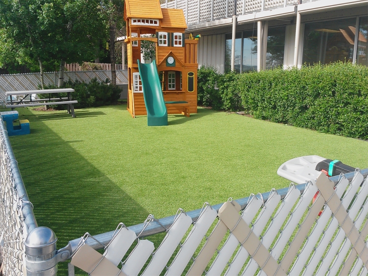 Best Artificial Grass Clermont, Georgia Backyard Deck Ideas, Backyard Landscape Ideas