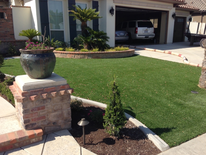 Best Artificial Grass Garden City, Georgia Lawn And Landscape, Front Yard Landscaping Ideas