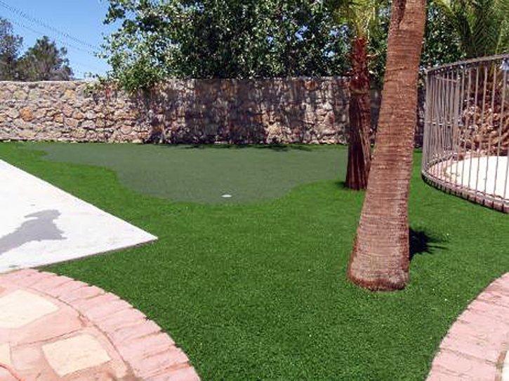 Best Artificial Grass Tybee Island, Georgia Backyard Playground, Backyard Designs