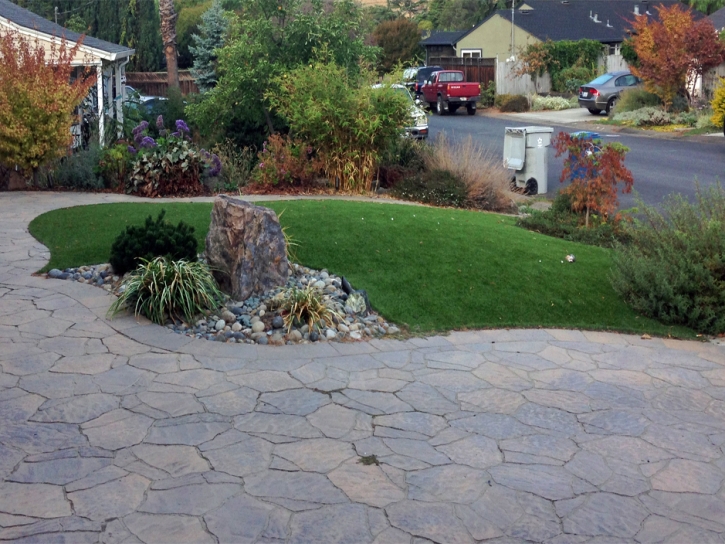 Fake Grass Adrian, Georgia Paver Patio, Front Yard