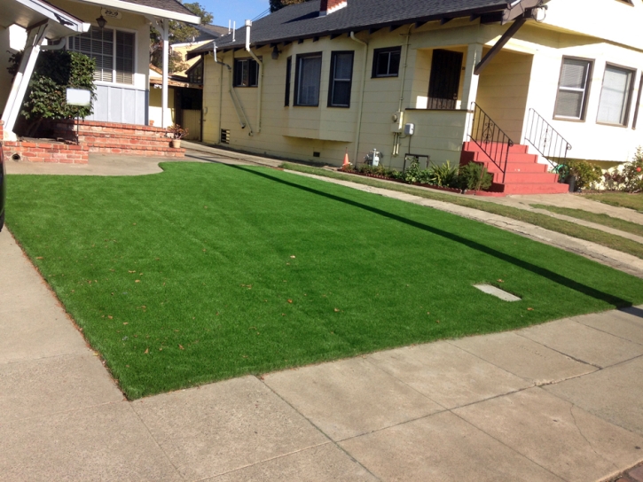 Fake Grass Bloomingdale, Georgia Landscaping, Front Yard Landscape Ideas