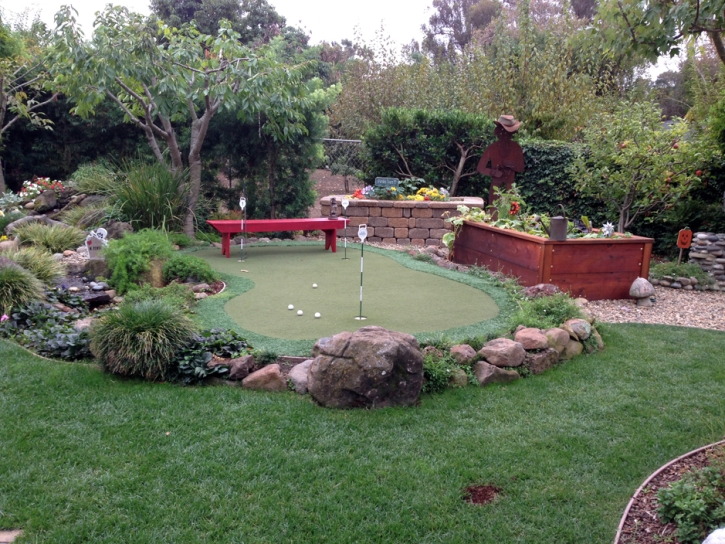 Fake Grass Carpet Fort Oglethorpe, Georgia Putting Green Turf, Backyard