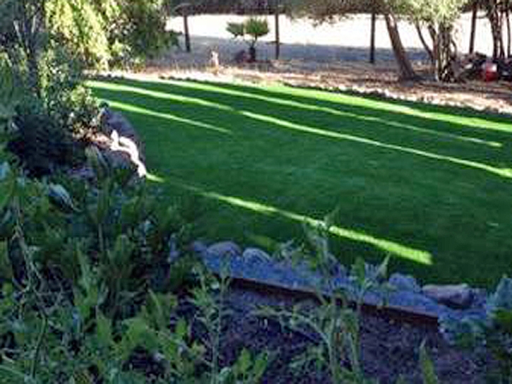 Fake Grass Carpet Tignall, Georgia City Landscape, Backyard Garden Ideas