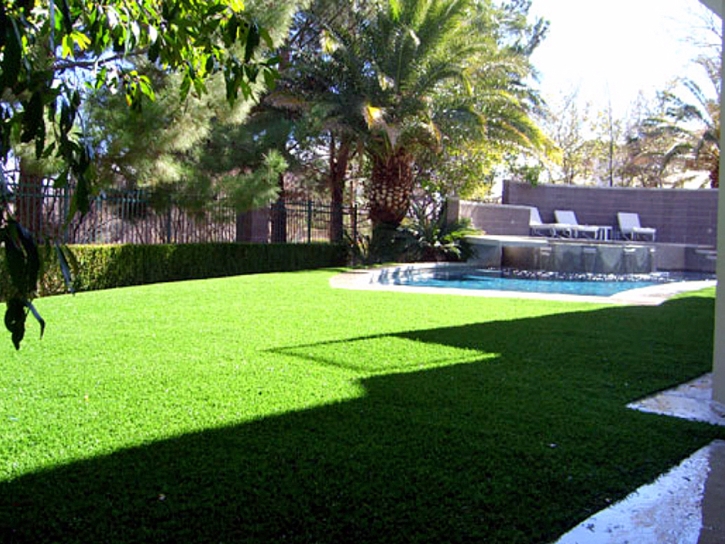 Fake Grass Doerun, Georgia City Landscape, Natural Swimming Pools