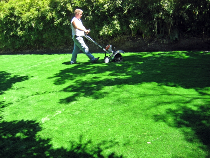 Fake Grass Hardwick, Georgia Landscape Design, Small Backyard Ideas