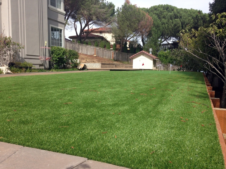 Fake Grass Rincon, Georgia Putting Green Turf, Backyard Design