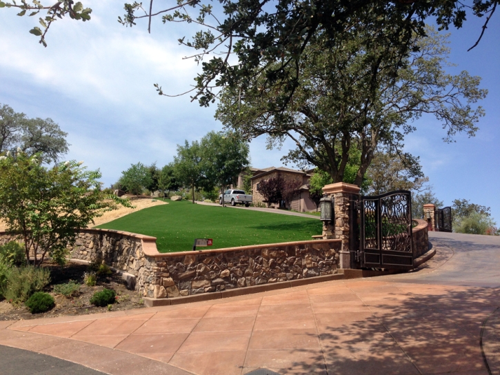 Fake Grass Skidaway Island, Georgia Roof Top, Front Yard Ideas