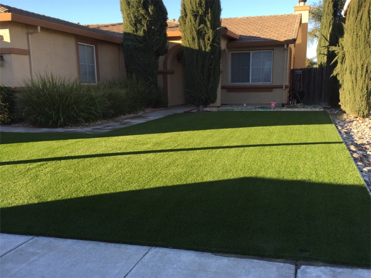 Fake Lawn Sardis, Georgia City Landscape, Front Yard Design