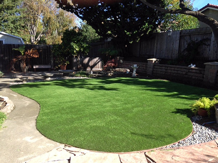 Fake Turf Arcade, Georgia Lawns, Beautiful Backyards