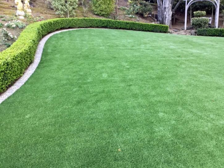 Fake Turf Demorest, Georgia Garden Ideas, Backyard Designs