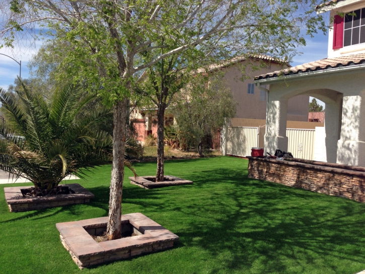 Fake Turf Odum, Georgia Lawn And Garden, Small Front Yard Landscaping