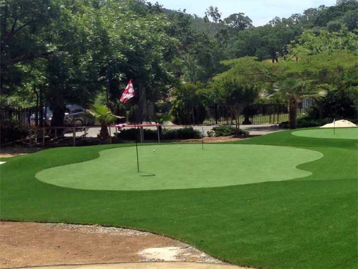 Fake Turf Social Circle, Georgia Putting Greens, Front Yard Design