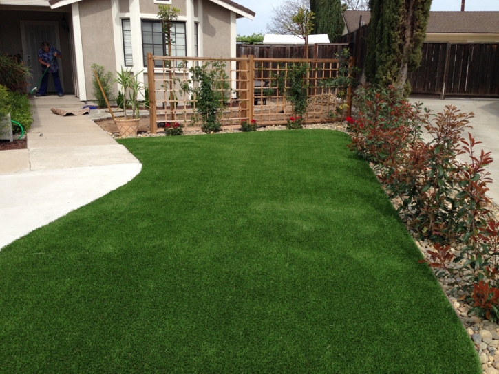 Faux Grass Franklin Springs, Georgia Backyard Playground, Front Yard